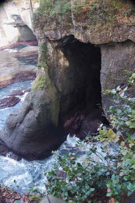 Cape Flattery